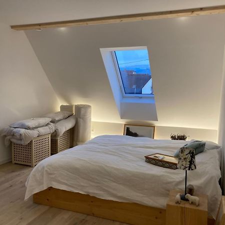 Neues Penthouse-Loft Mit Konuskarte Fuer Gratis Oepnv Leilighet Ehrenkirchen Eksteriør bilde