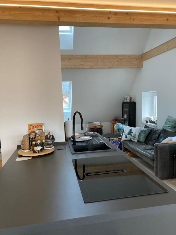 Neues Penthouse-Loft Mit Konuskarte Fuer Gratis Oepnv Leilighet Ehrenkirchen Eksteriør bilde
