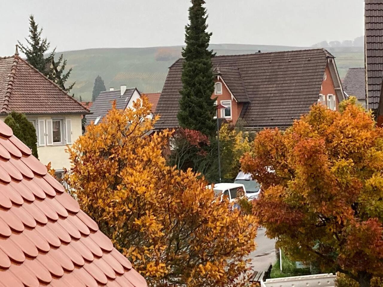 Neues Penthouse-Loft Mit Konuskarte Fuer Gratis Oepnv Leilighet Ehrenkirchen Eksteriør bilde